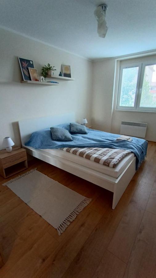 Apartman Taca 수보티차 외부 사진