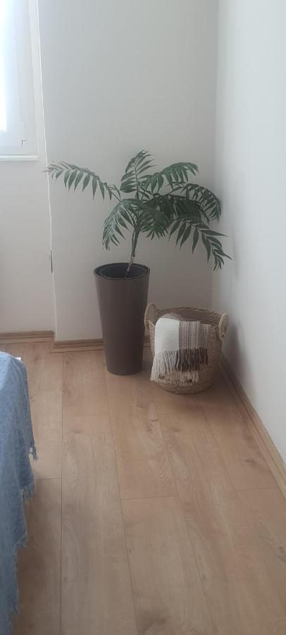 Apartman Taca 수보티차 외부 사진